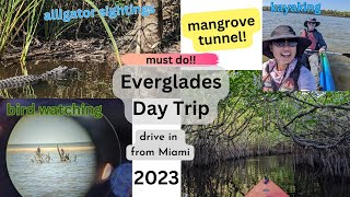 Our Everglades Day Trip | Do I recommend?