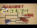 【ゆっくり解説】みんな大好き?ゴキブリの進化!