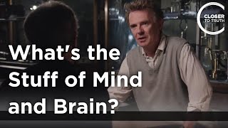 Galen Strawson - What's the Stuff of Mind and Brain?