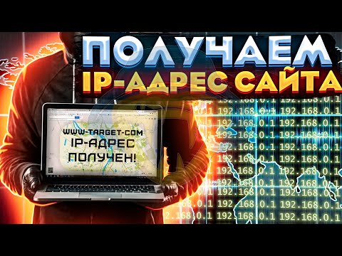 Получаем IP-адрес сайта с помощью Python | Как узнать IP-адрес сайта