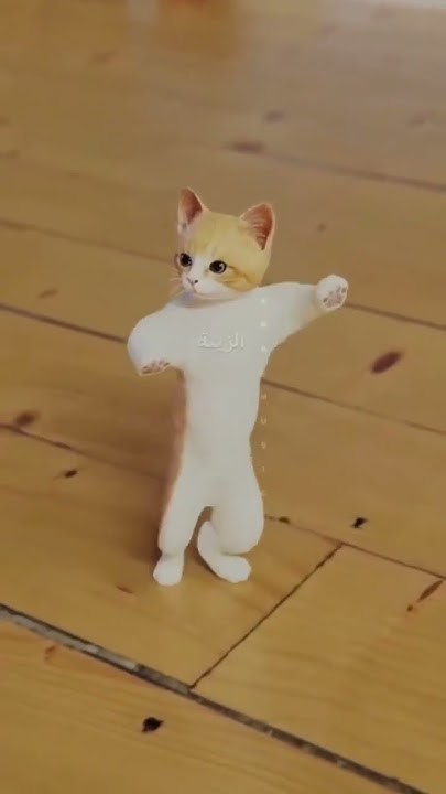 кошка танцует - YouTube