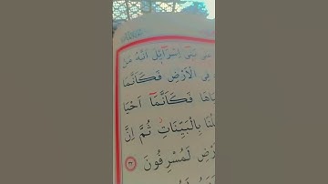 القرآن الكريم 💛سورة المائدة💛💛