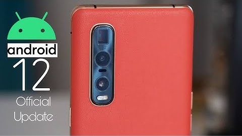 Oppo Find X2 Pro Android 12 Official Update