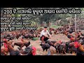 How to start 200 sonali desi poltry farming invesmemtprofitlos golden farming odisha