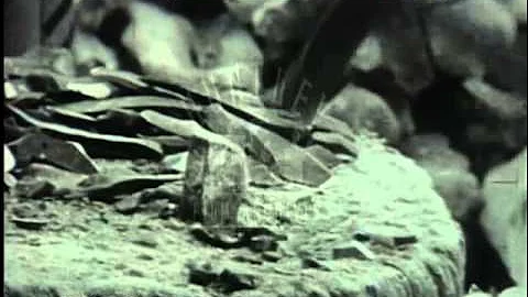 Collecting and flaking flint, 1920's -- Film 224