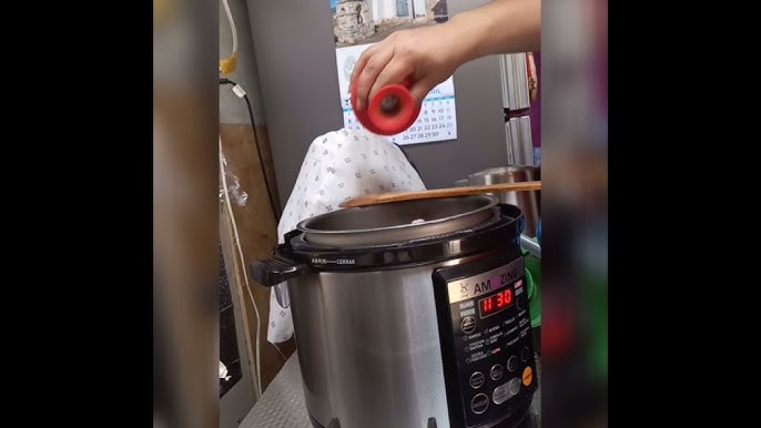 Cómo cocinar arroz en una olla arrocera (con imágenes)