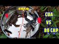 Cuộc Chiến Cua Và Bọ Cạp - crab and scorpion