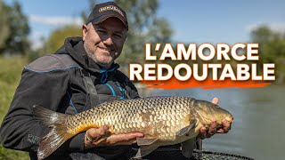 TEST DE L'AMORCE WORM - Un mix top pour les carpes et carassins.