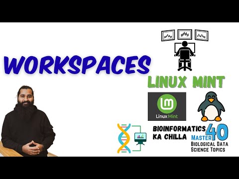 Workspaces in Linux Mint and Touchpad Gestures | Enhance Productivity
