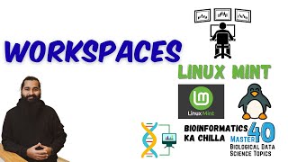 Workspaces in Linux Mint and Touchpad Gestures | Enhance Productivity