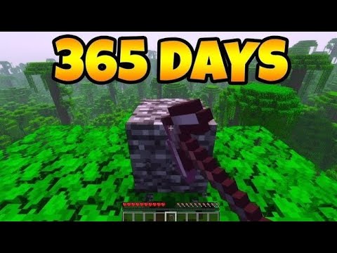Breaking Bedrock in Minecraft FOR 365 DAYS (World Record)
