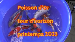 Poisson d'Or, tour d'horizon printemps 2023