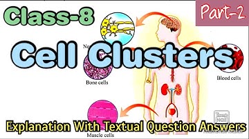 Class-8 | Basic Science | Cell Clusters | Part-2 | Unit-2 | State Syllabus