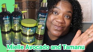 MIELLE Organics Wash &amp; Go...Let&#39;s Talk about it |  Avocado and Tamanu Product Review