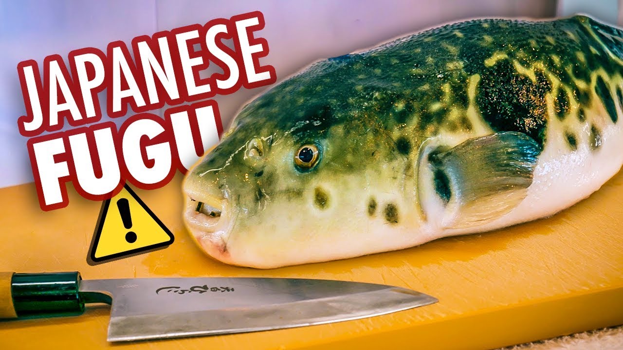 What Japan's Deadliest Dish Tastes Like Poisonous Blowfish (Fugu