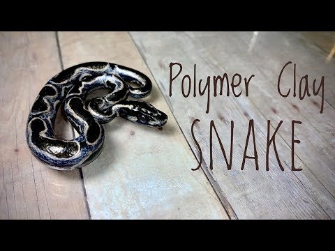 Black Snake Tutorial