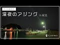 【和歌山・紀北】初心者の深夜アジング