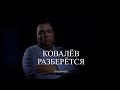 Ковалёв разберётся с работой чебоксарского аэроклуба