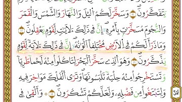 مصحف أحكام التجويد لمنشورات كليك بصوت القارئ ياسين الجزائري الصفحة: 235