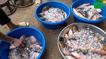 SAPA TV | ÂM THỰC ĐÁM CƯỚI NGƯỜI THÁI ĐEN Ở TÂY BẮC