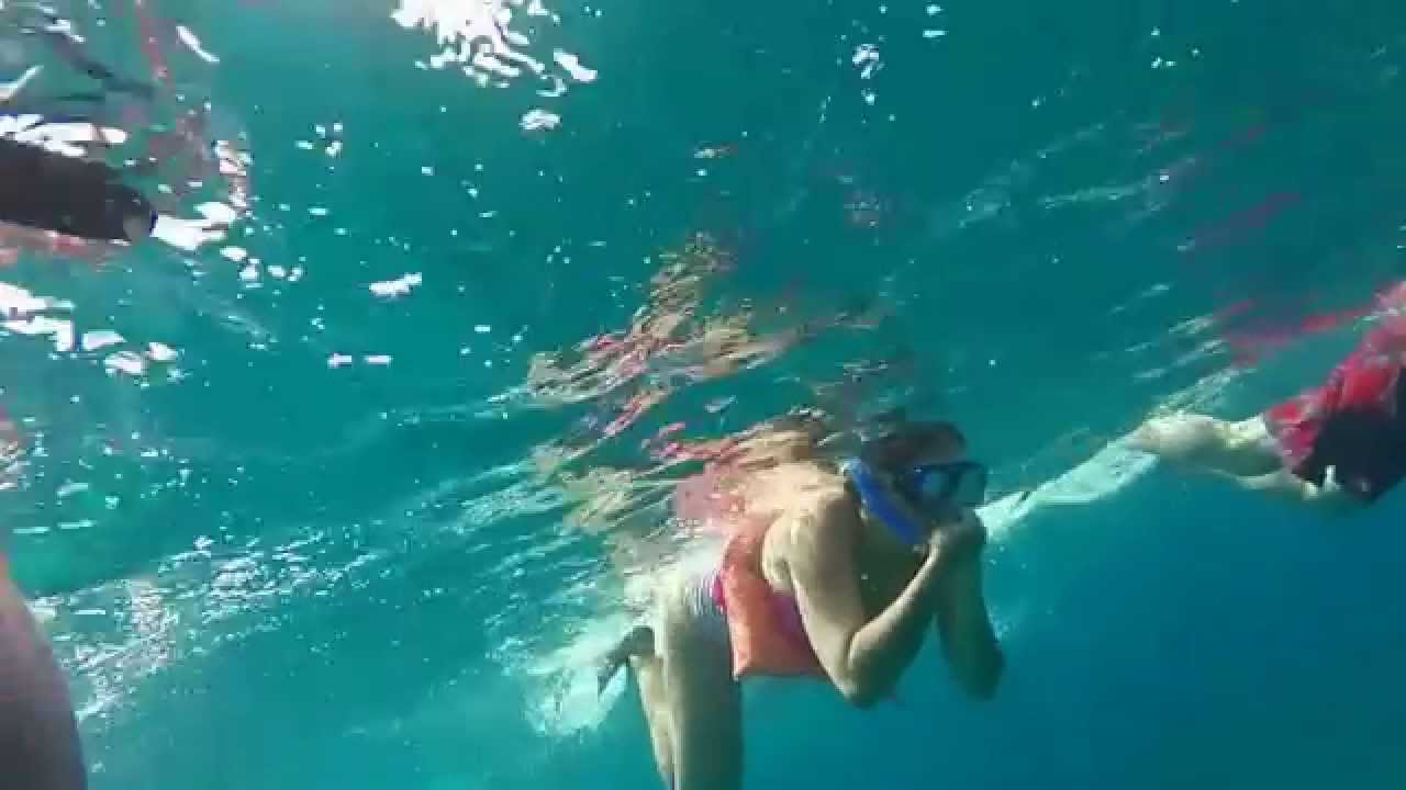 Snorkeling at the Underwater Museum in Cancun YouTube