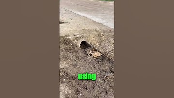 This is how they DO IT ! 😦👀