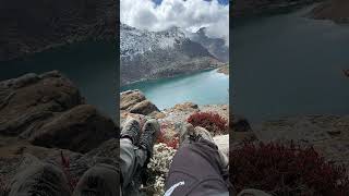 Resting Feet , Feeding Eyes.