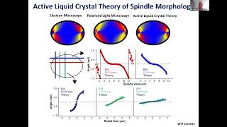 Dan Needleman: Active Matter, Microtubules and Cell Division Part 2