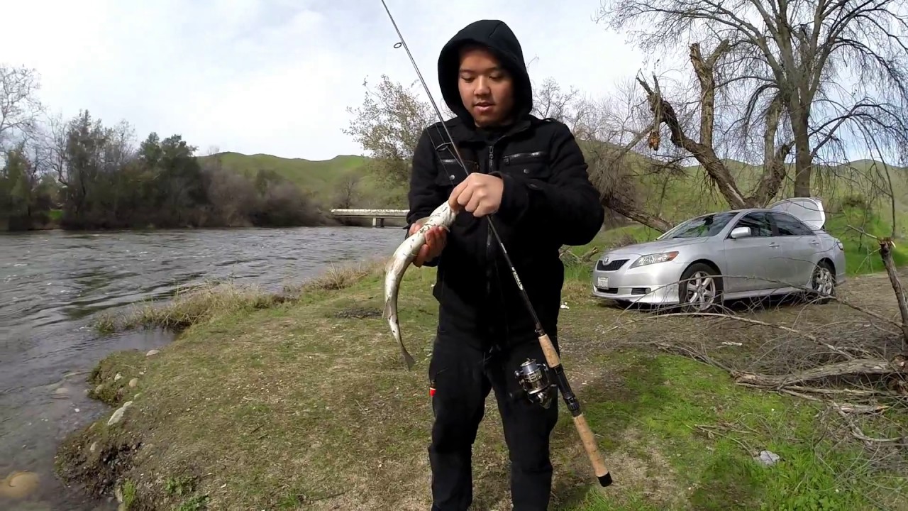 Trout Fishing YouTube