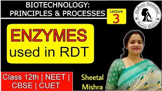 Enzymes used in RDT | Restriction endonuclease | Biology Class 12 | Sheetal Mishra | BioPoint