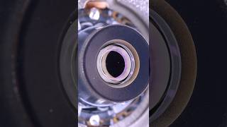 iPhone 15 Pro Camera Module — Flux Residue Cleaned Under 3D Microscope”