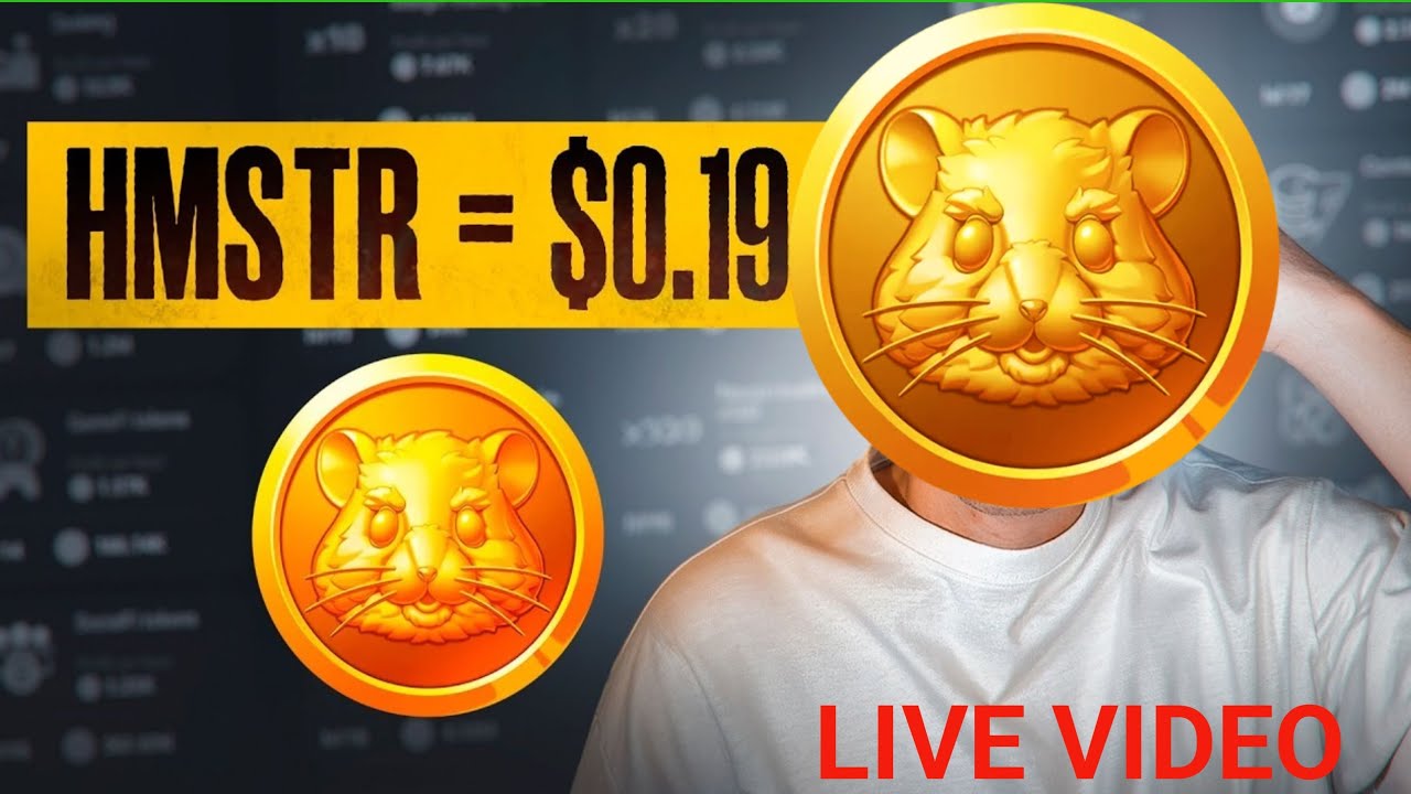 HAMSTER COIN IN India Price Is Live YouTube HAMSTER COIN IN India Price Is Live YouTube