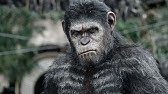hqdefault.jpg?sqp=-oaymwEiCKgBEF5IWvKriqkDFQgBFQAAAAAYASUAAMhCPQCAokN4AQ==&rs=AOn4CLCI_oDnmqIGoBT7EyQdAinY446bAQ