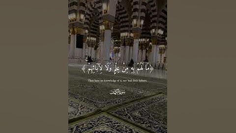الحمد لله الذي أنزل على عبده الكتاب ✨️سورة الكهف القرآن الكريم تلاوة خاشعة #القرآن الكريم