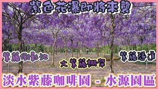 2023 全台最大的紫藤花海襲來I 淡水紫藤咖啡園-水源園區滿開 ... 