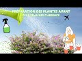 Je prpare mes plantes avant 2 semaines dabsence 