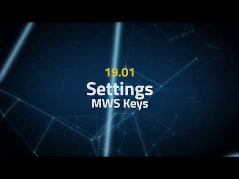 Tactical Arbitrage Instructions 19.01 - Settings - MWS Keys