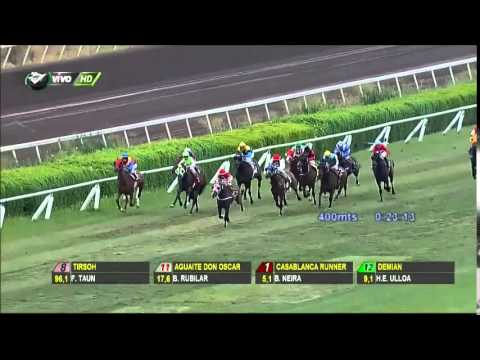 Vidéo de la course PMU PREMIO DRAGUT REIS
