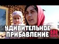 УДИВИТЕЛЬНОЕ прибавление в хозяйстве. Как избавить кур от вшей?