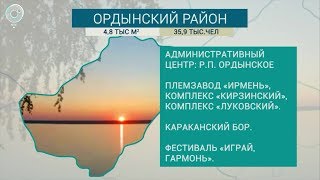 Сразу четыре района Новосибирской области отмечают 95-летний юбилей