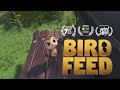 Birdfeed 2020  animated short film  3dsense media school