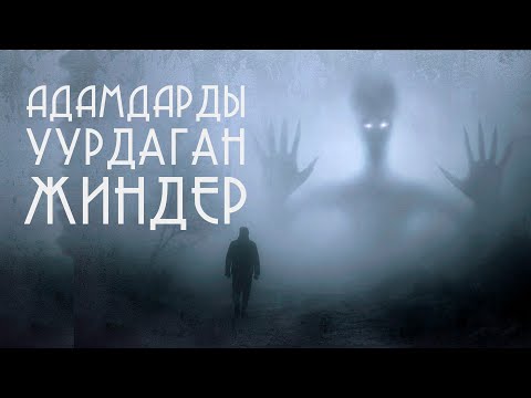 Video: Эмне үчүн адамдар алдашат