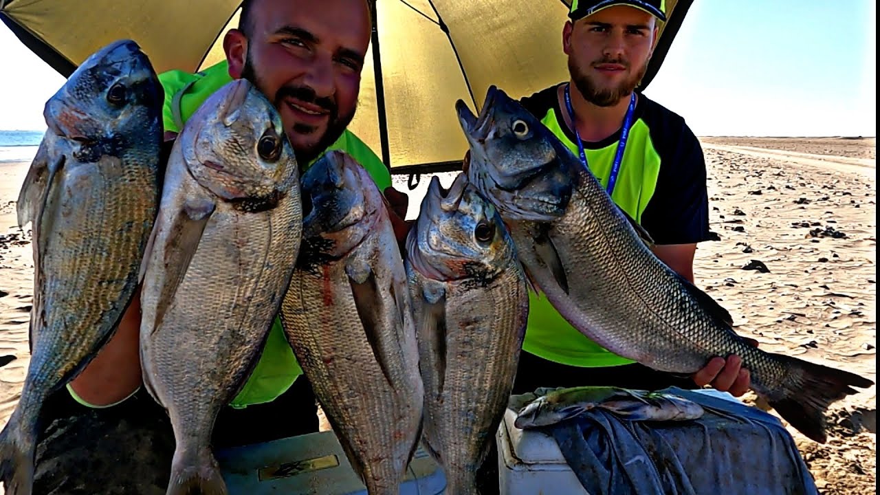 ➡️UN DÍA INOLVIDABLE🎣 SURFCASTING EN su🌿 PURA NATURALEZA🐟