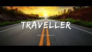 (FREE) MORGAN WALLEN TYPE BEAT 2024 - " TRAVELLER " COUNTRY RAP TYPE BEAT