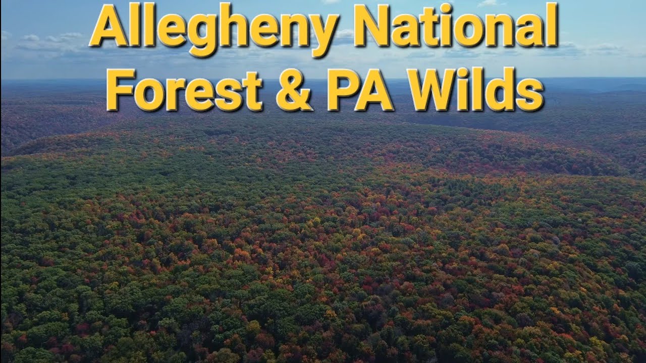 Wilderness Adventure Awaits: A Flight through Allegheny National Forest of the PA Wilds [8K]
