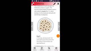 Anatomy FlashCards - Best android anatomy app for rapid revision and reference screenshot 4