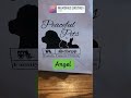I Cannot Believe It #shesgone#angels#funeralindustry #memorablemoments #smallyoutuber #foreverloved