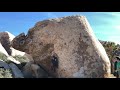 Joshua Tree - Chili Sauce V7