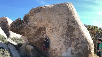 Joshua Tree - Chili Sauce V7