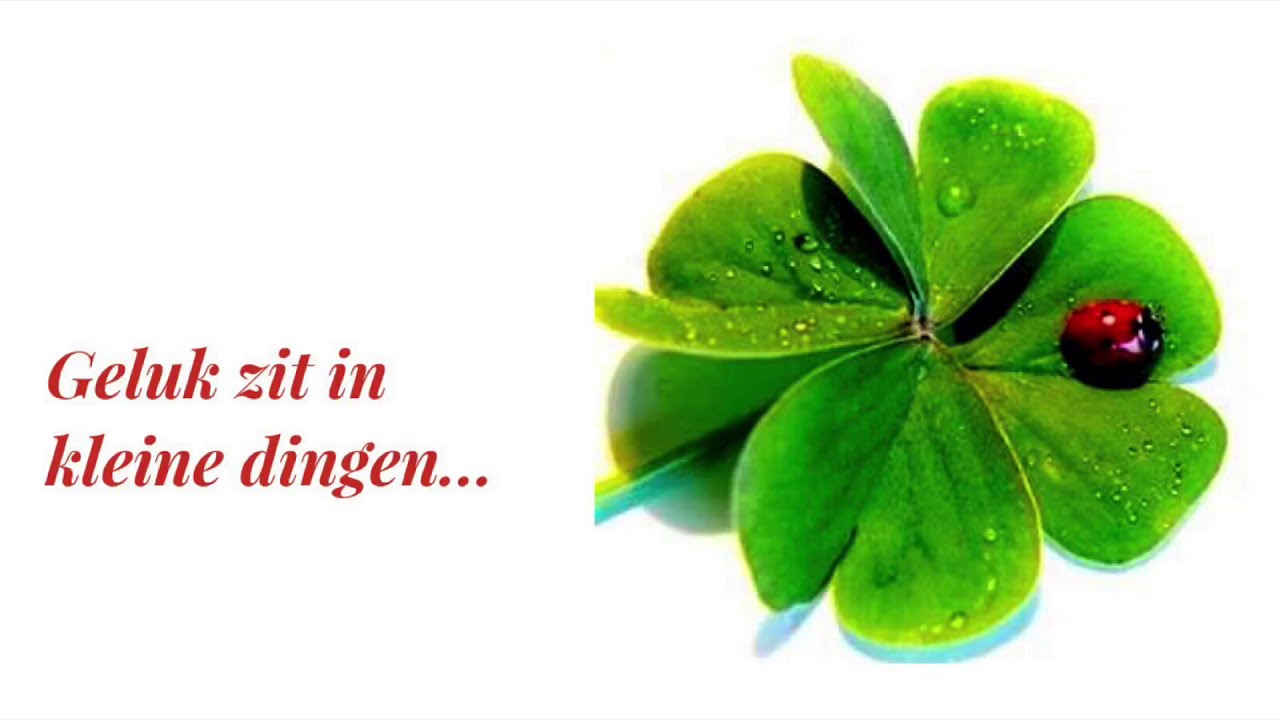 Geluk zit in kleine dingen - YouTube